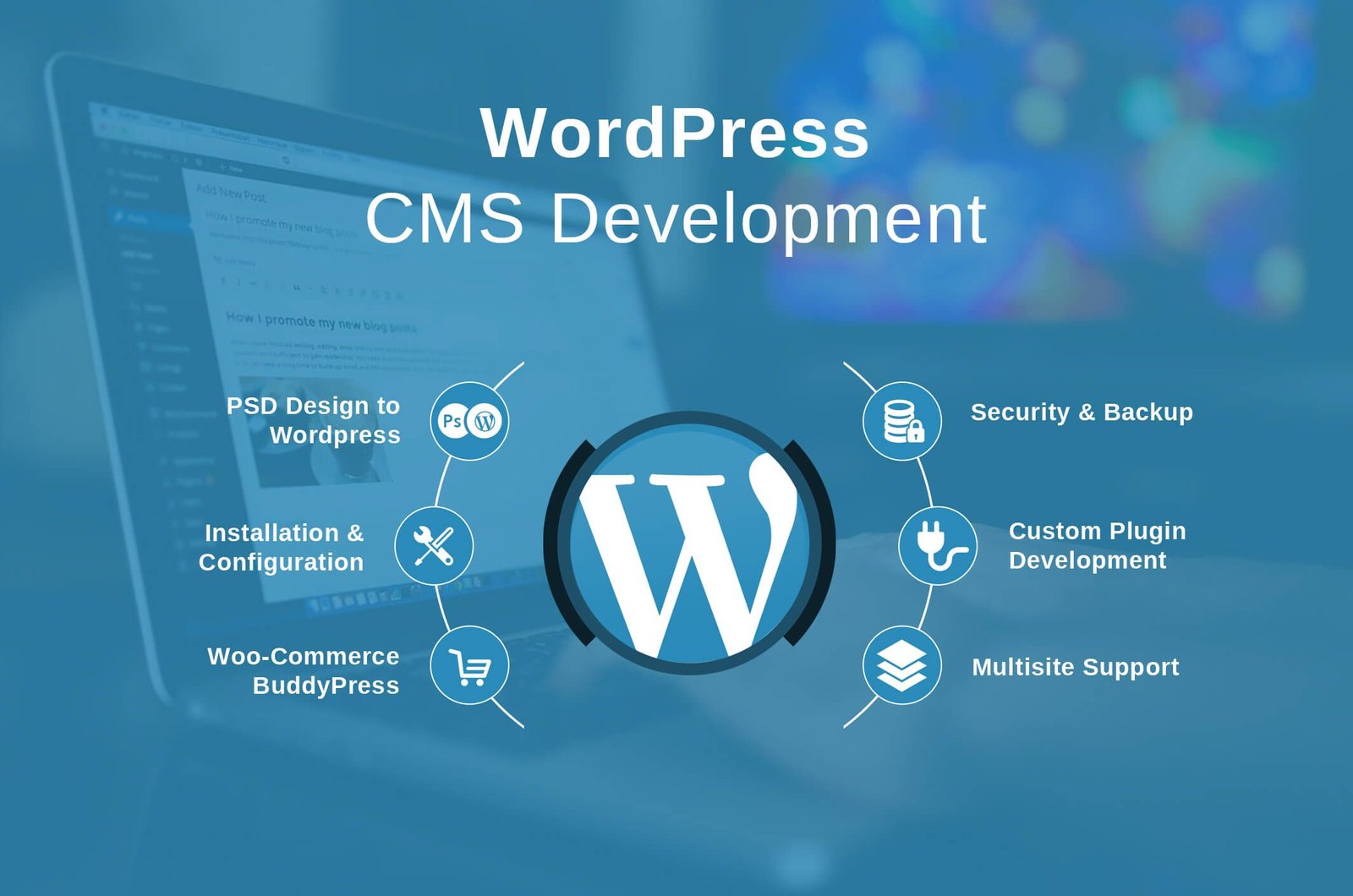 WordPress Web development
